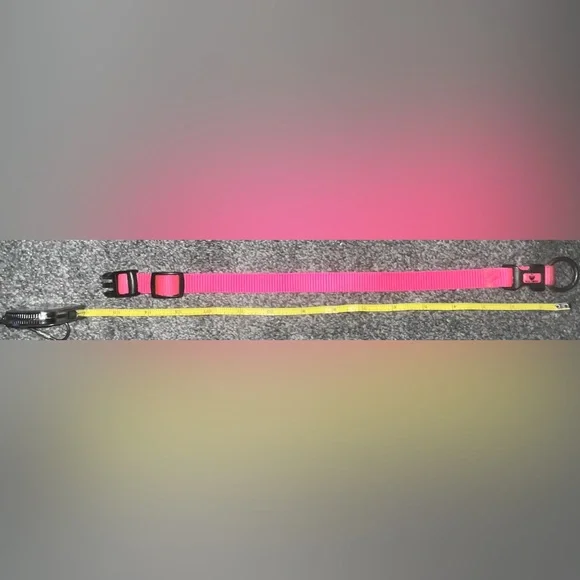 🎉HOST PICK 🎉 Hot Pink Dog Collar - Picture 5 of 7